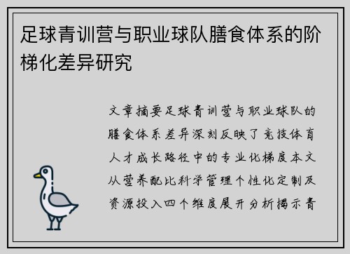 足球青训营与职业球队膳食体系的阶梯化差异研究